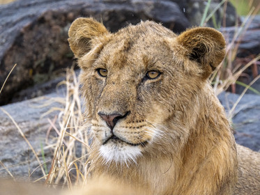 0160-tanzanie-2022.jpg