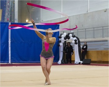 R4-10-06-COLLET Elisa