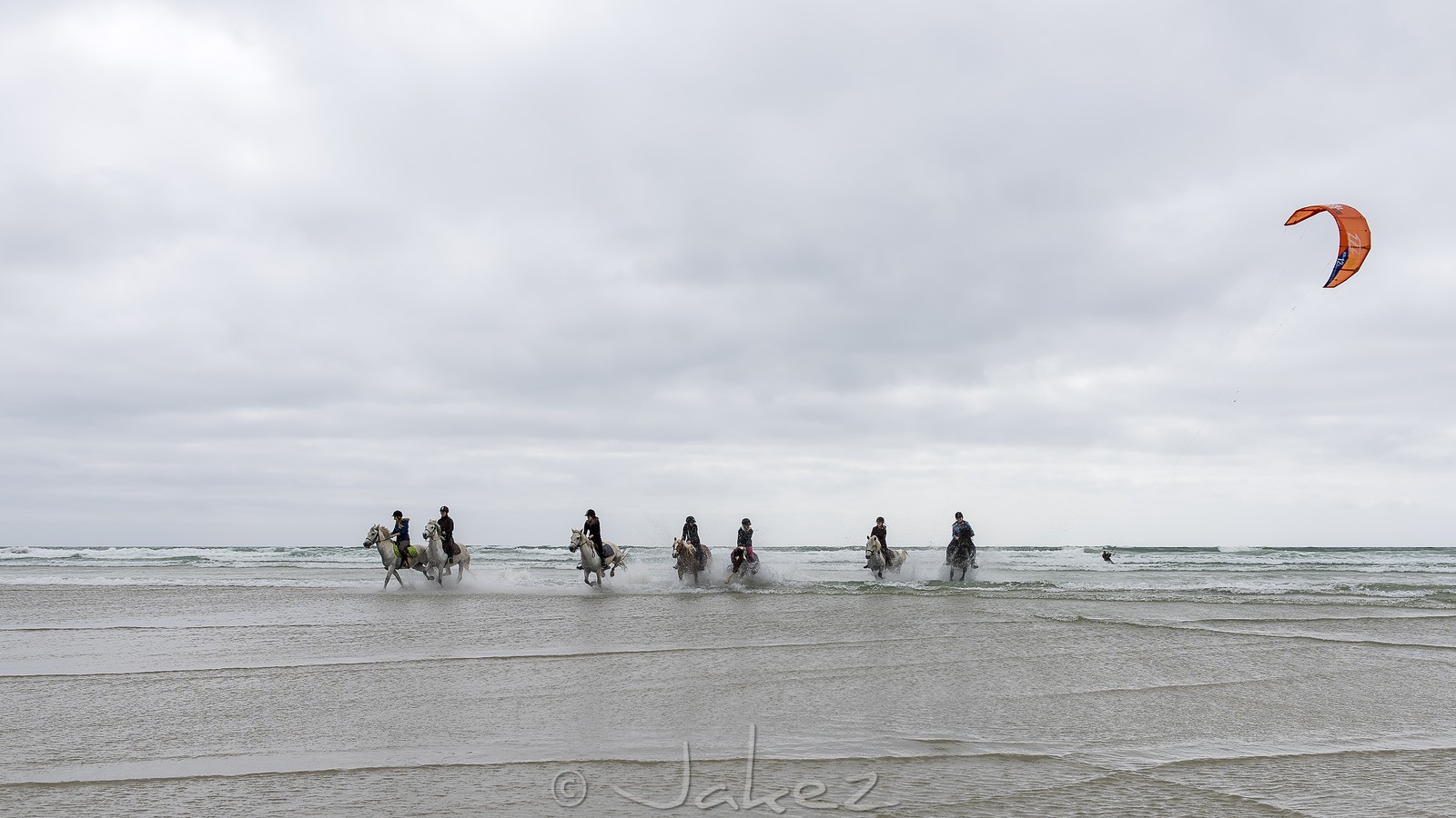 017-chevaux-a-tronoen.jpg