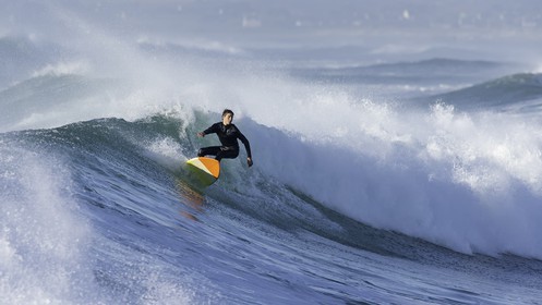 140-la-torche-2015-11-01.jpg