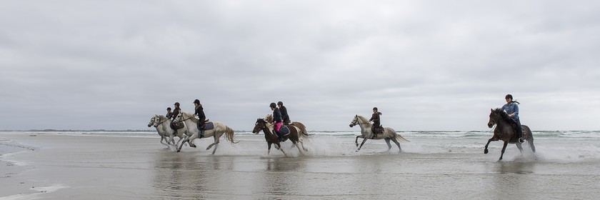 021-chevaux-a-tronoen.jpg