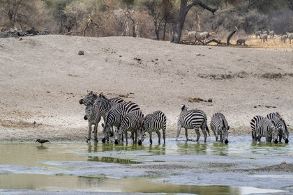 0036-tanzanie-2022.jpg