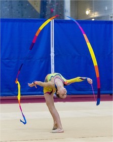 R4-04-35-FRESNEL Lisa