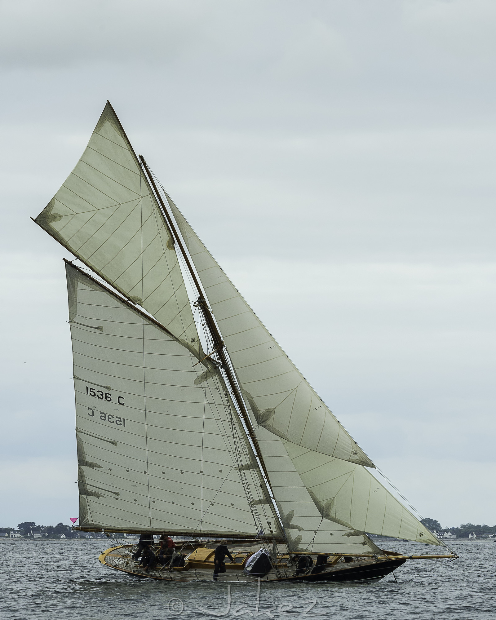 224.jpg