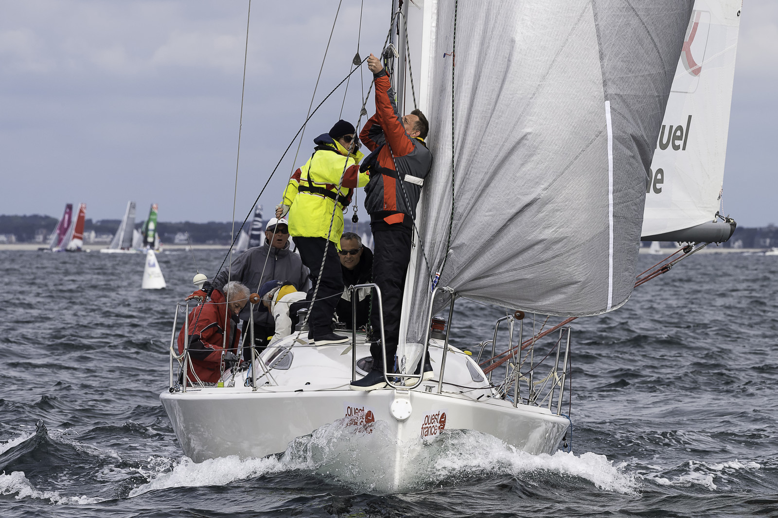 234-spi-2017.jpg