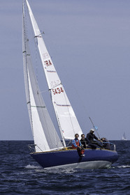 196.jpg