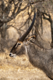 0013-tanzanie-2022.jpg
