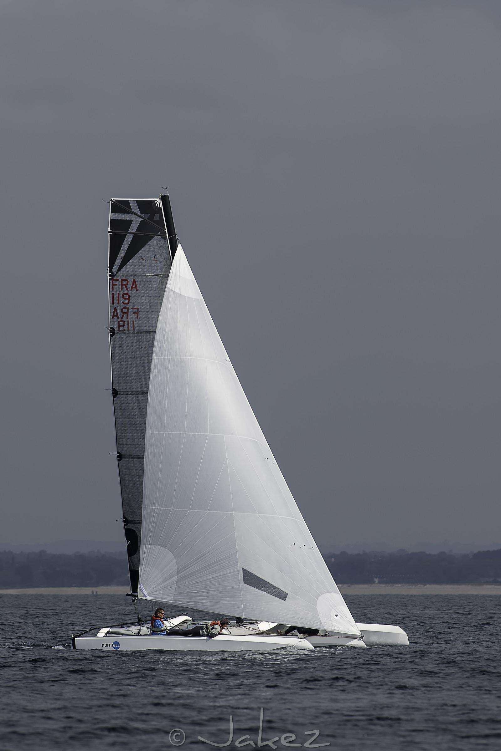 67-multyco-2016.jpg