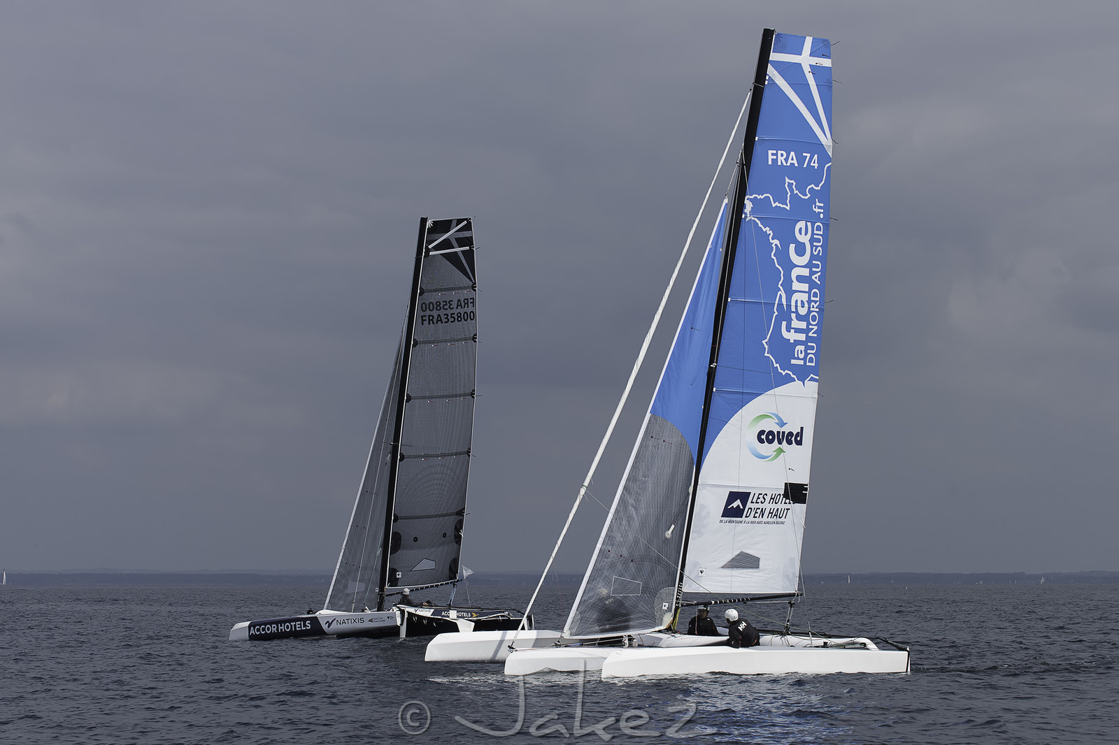 83-multyco-2016.jpg