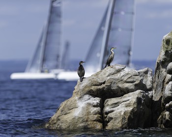 050-diam-24-gp-portlaf-2015-.jpg