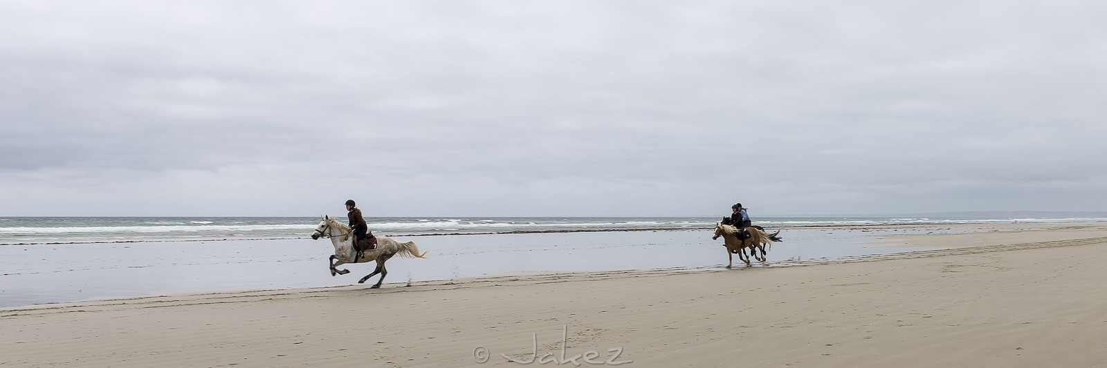 005-chevaux-a-tronoen.jpg