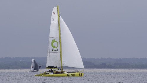 32-multyco-2016.jpg
