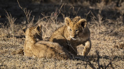 0050-tanzanie-2022.jpg