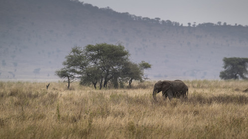 0107-tanzanie-2022.jpg