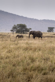 0108-tanzanie-2022.jpg