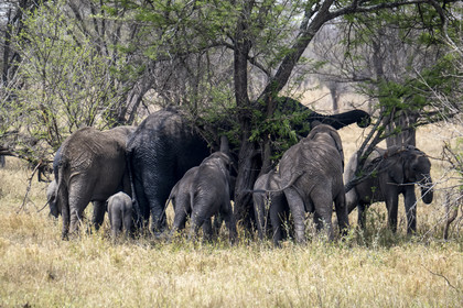 0113-tanzanie-2022.jpg