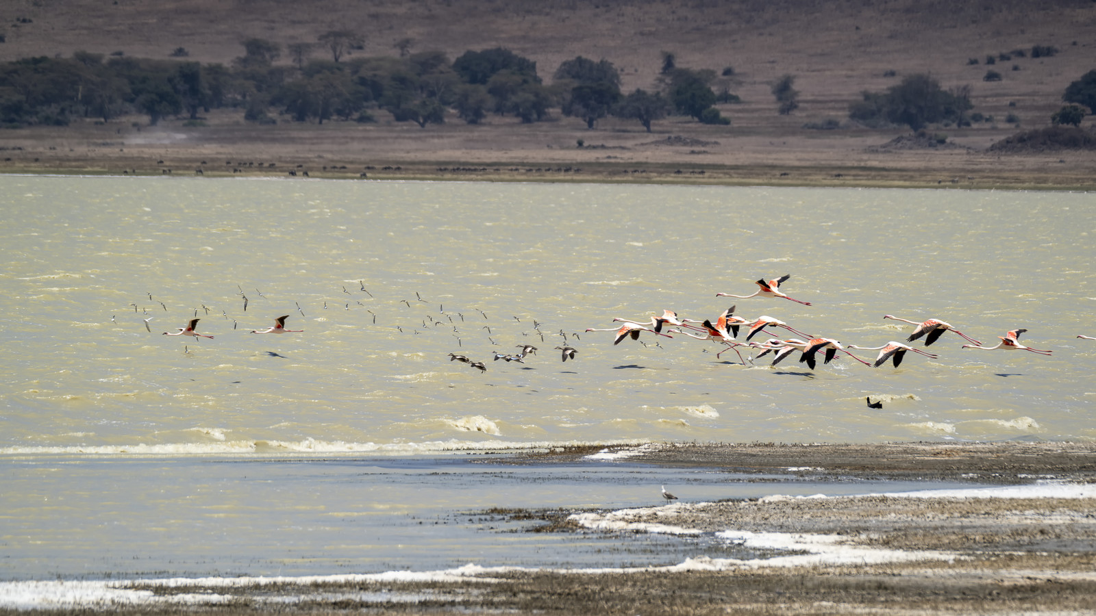 0080-tanzanie-2022.jpg