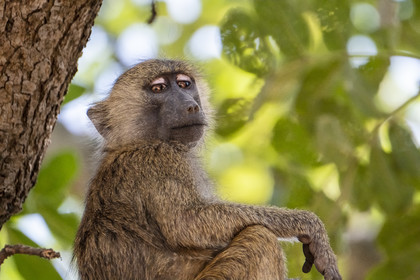 0019-tanzanie-2022.jpg