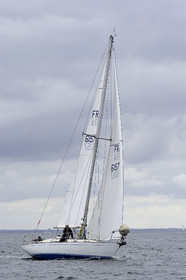 254.jpg