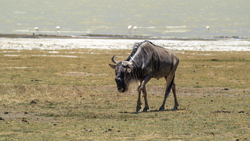 0082-tanzanie-2022.jpg