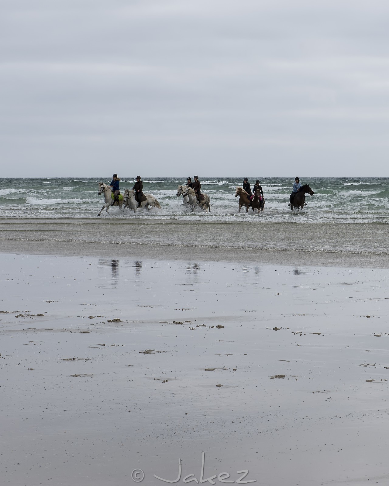 010-chevaux-a-tronoen.jpg