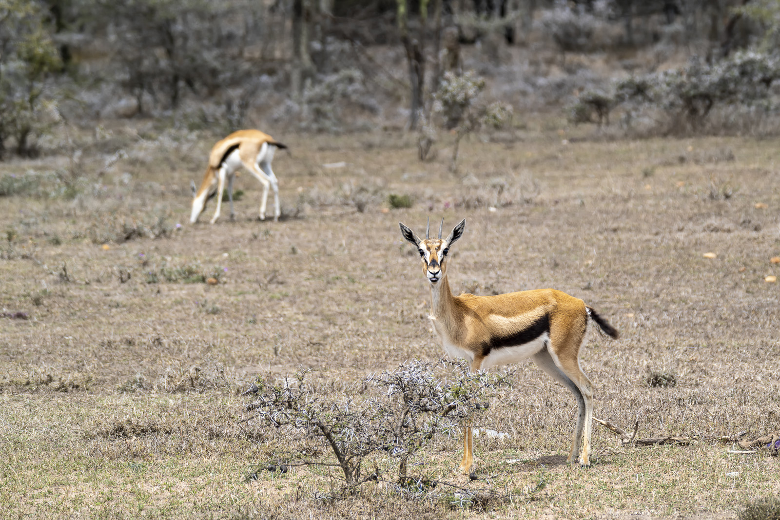 0213-tanzanie-2022.jpg