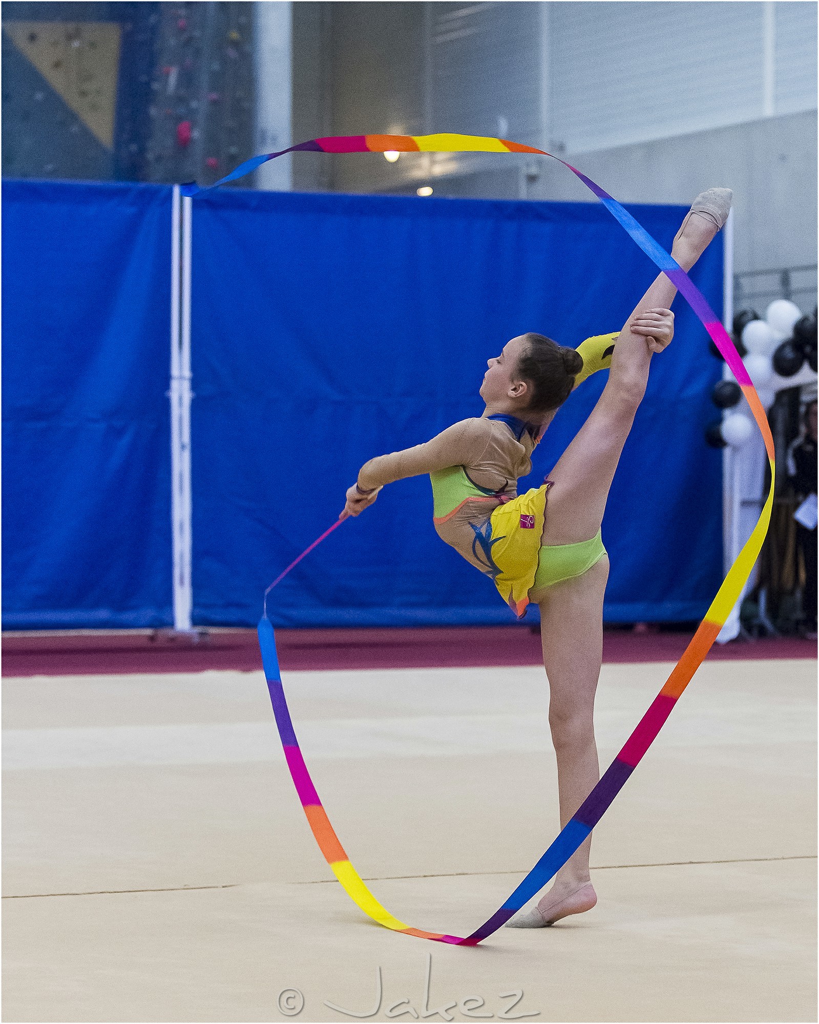 R4-04-22-FRESNEL Lisa