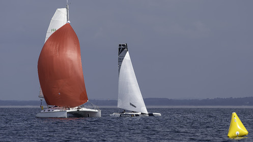 51-multyco-2016.jpg