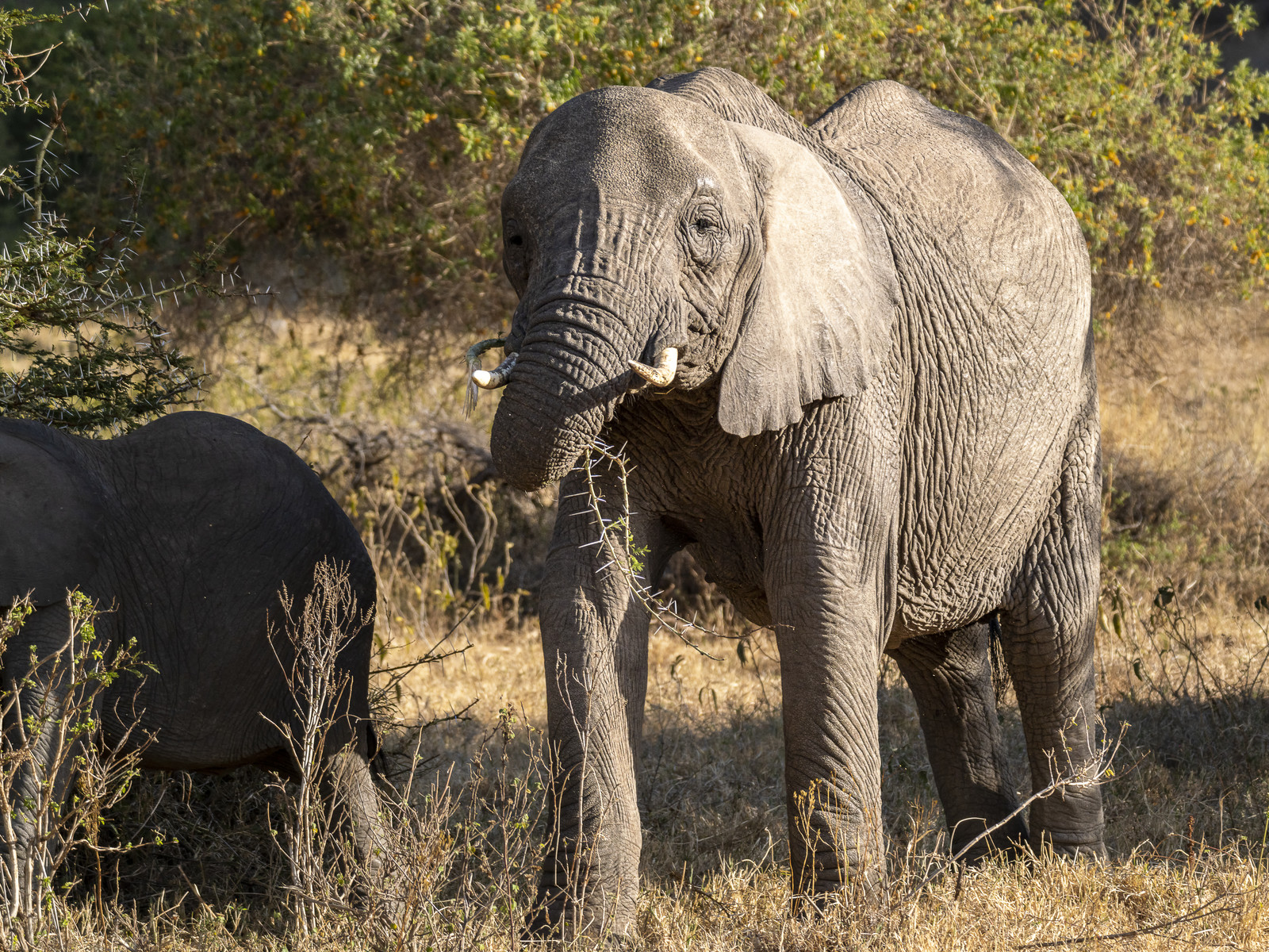 0046-tanzanie-2022.jpg