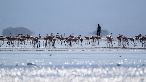 0243-tanzanie-2022.jpg