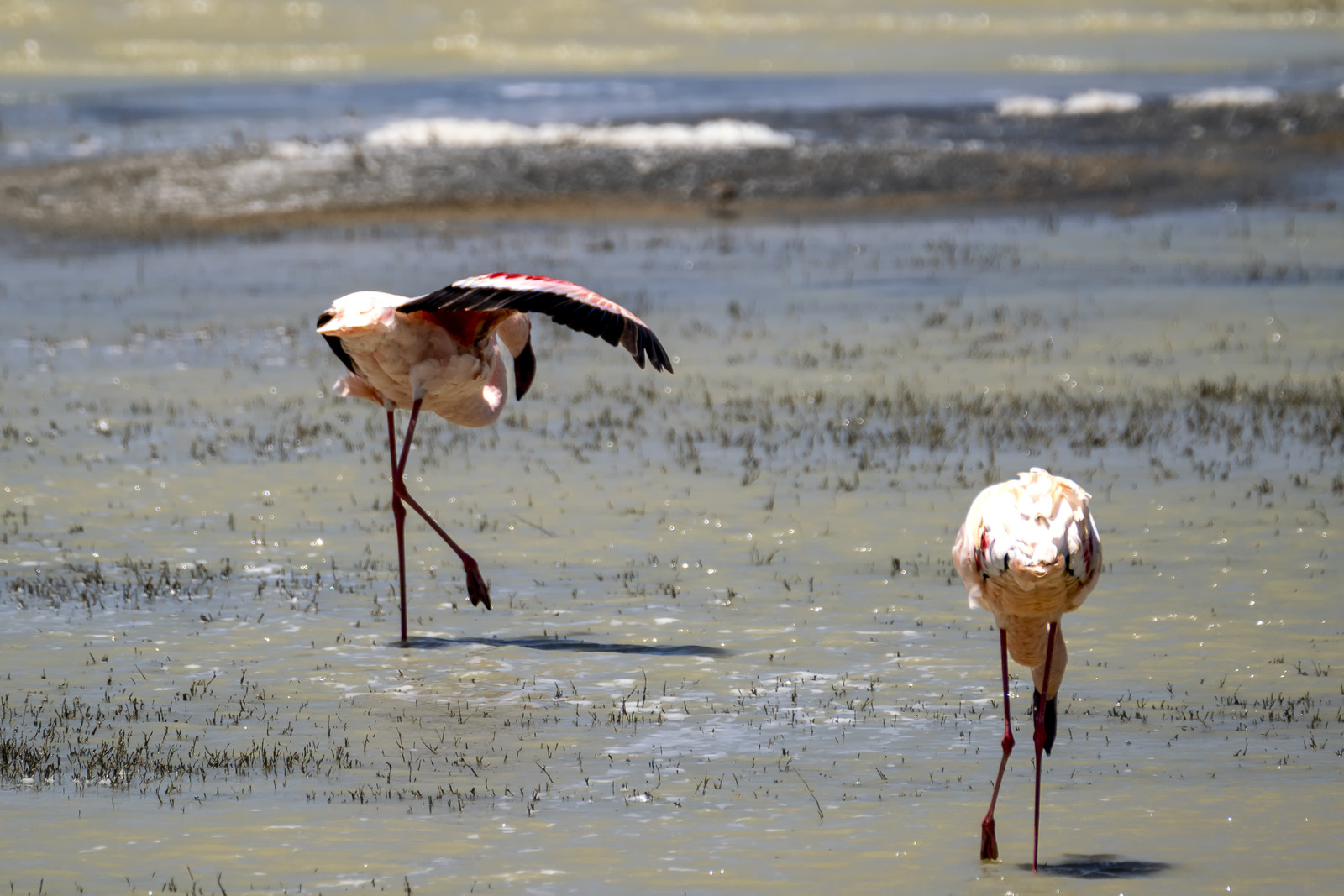 0087-tanzanie-2022.jpg