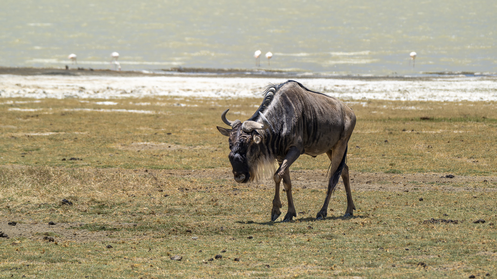 0082-tanzanie-2022.jpg