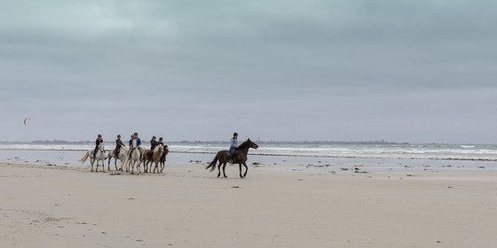 001-chevaux-a-tronoen.jpg