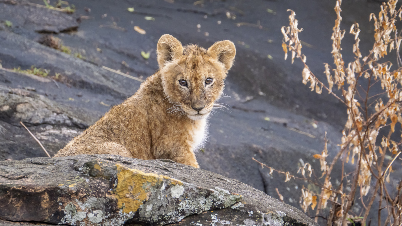 0151-tanzanie-2022.jpg