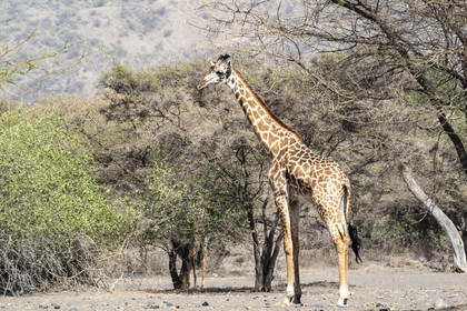 0230-tanzanie-2022.jpg