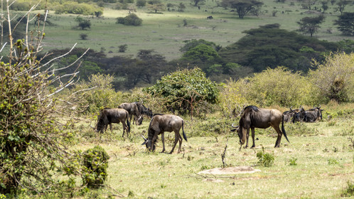 0207-tanzanie-2022.jpg