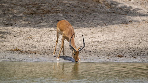 0043-tanzanie-2022.jpg