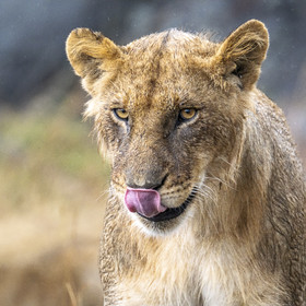 0175-tanzanie-2022.jpg