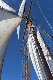46-etoile.jpg