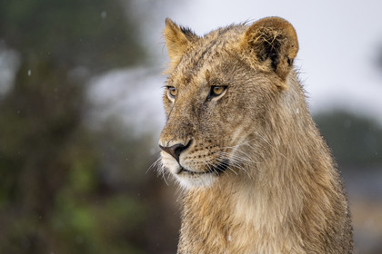 0172-tanzanie-2022.jpg