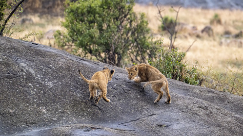 0150-tanzanie-2022.jpg