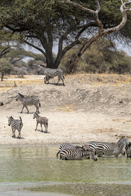 0044-tanzanie-2022.jpg