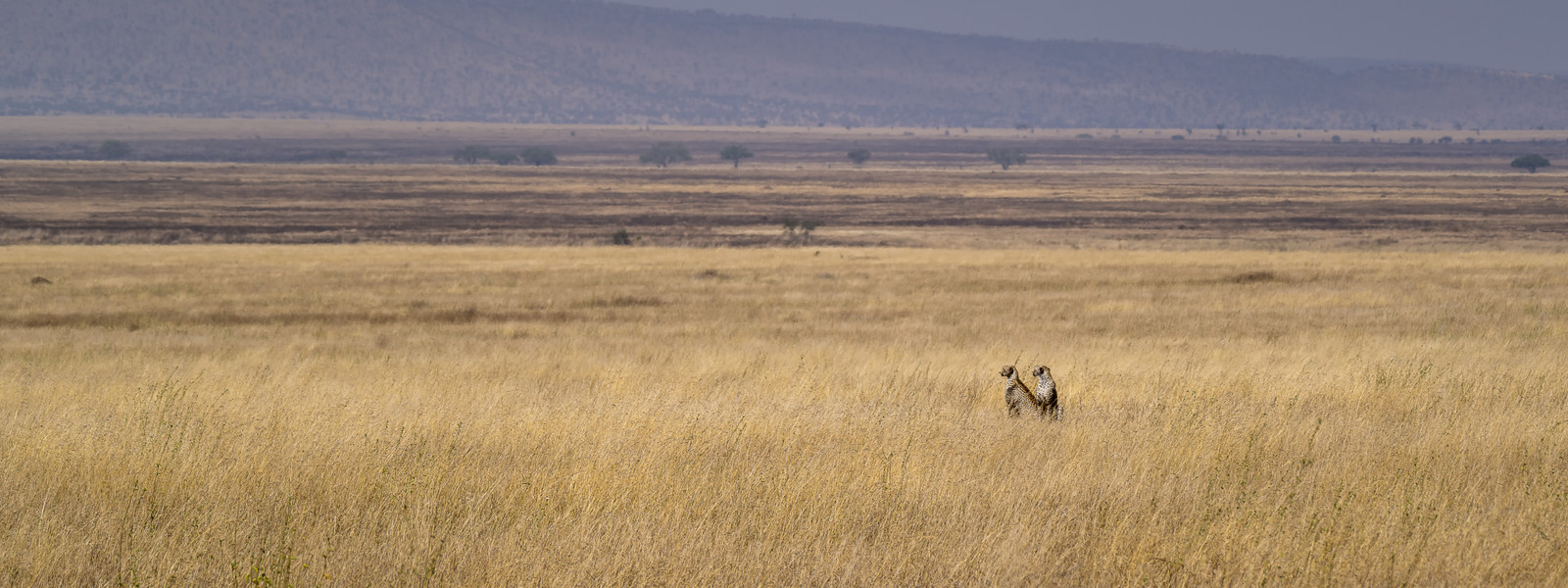 0136-tanzanie-2022.jpg