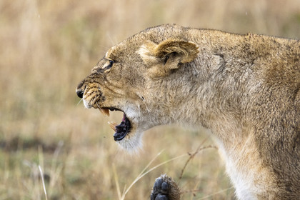 0161-tanzanie-2022.jpg