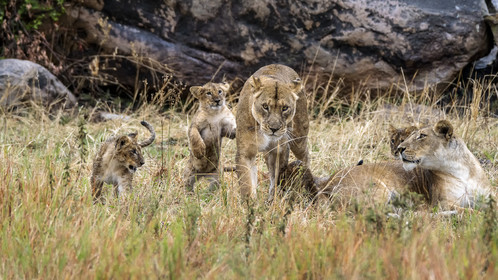 0156-tanzanie-2022.jpg