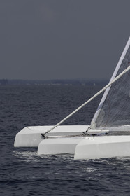 84-multyco-2016.jpg