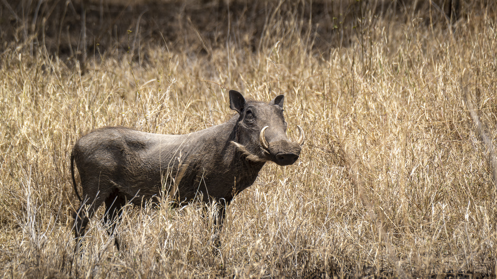 0114-tanzanie-2022.jpg