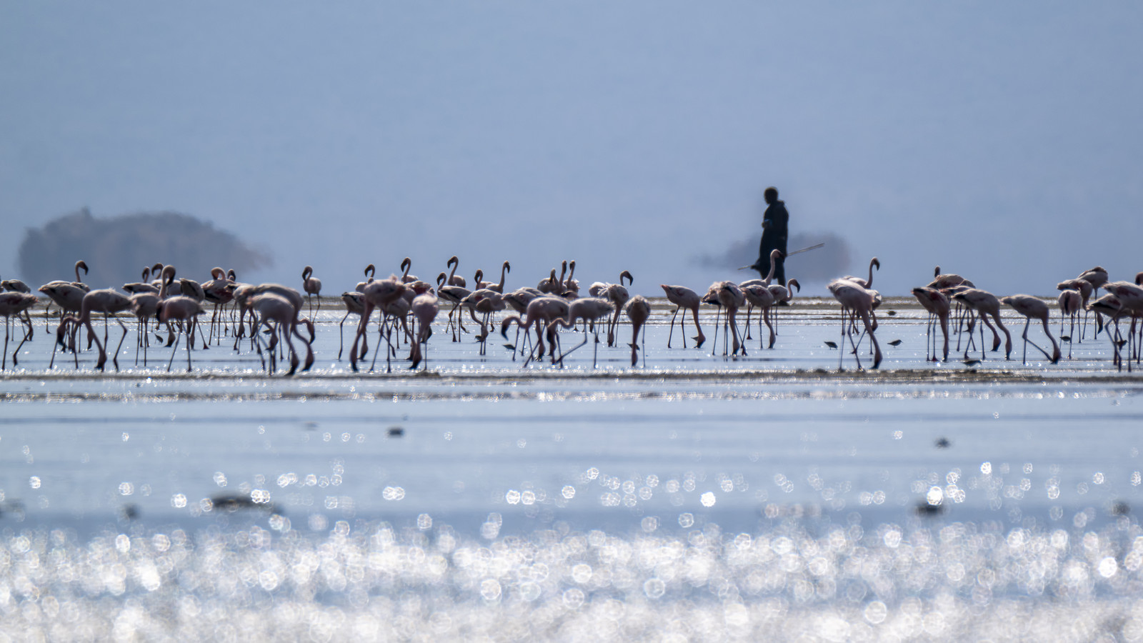 0243-tanzanie-2022.jpg