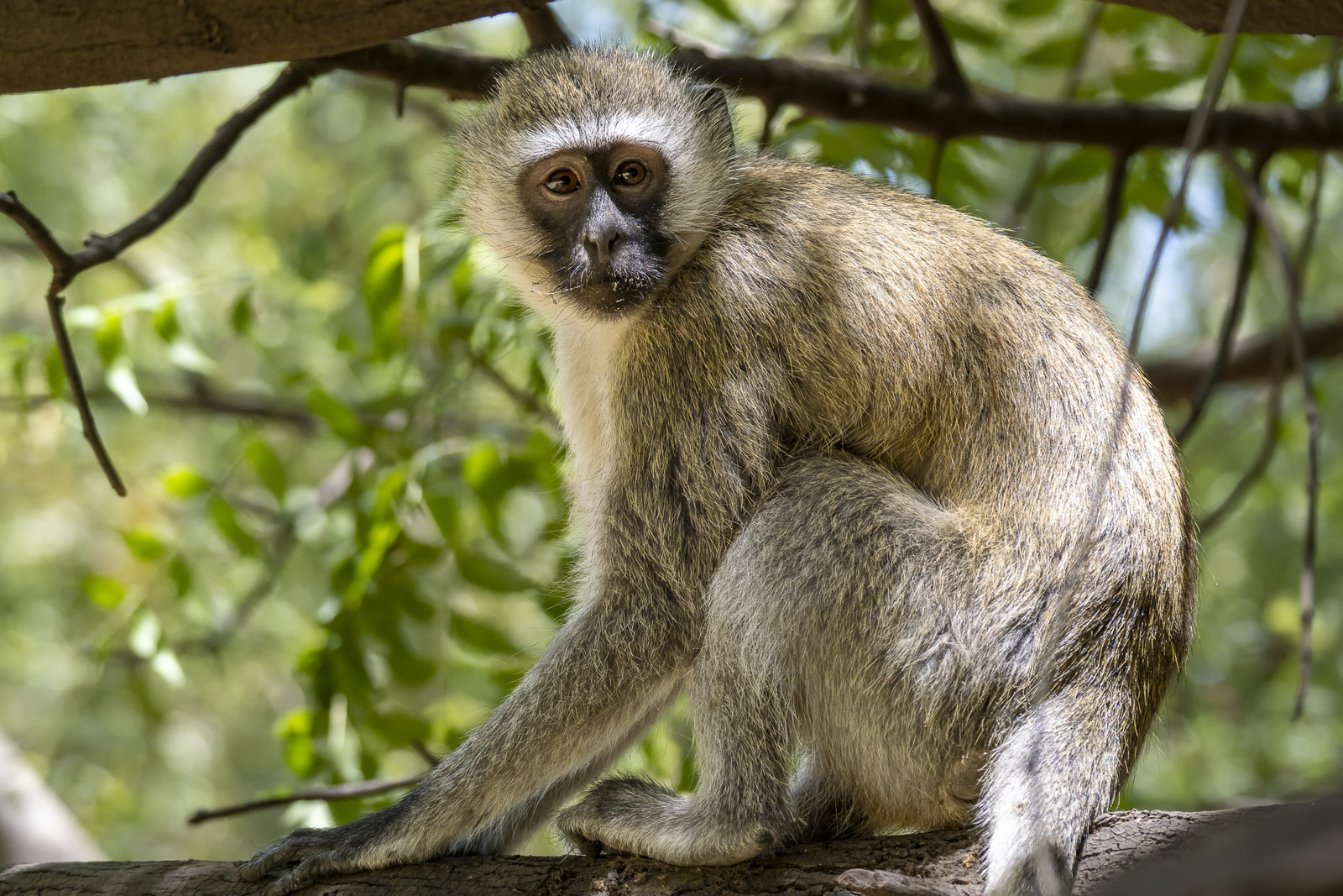 0222-tanzanie-2022.jpg