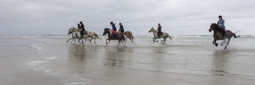 020-chevaux-a-tronoen.jpg